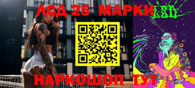 PSILOCYBIN Майкоп