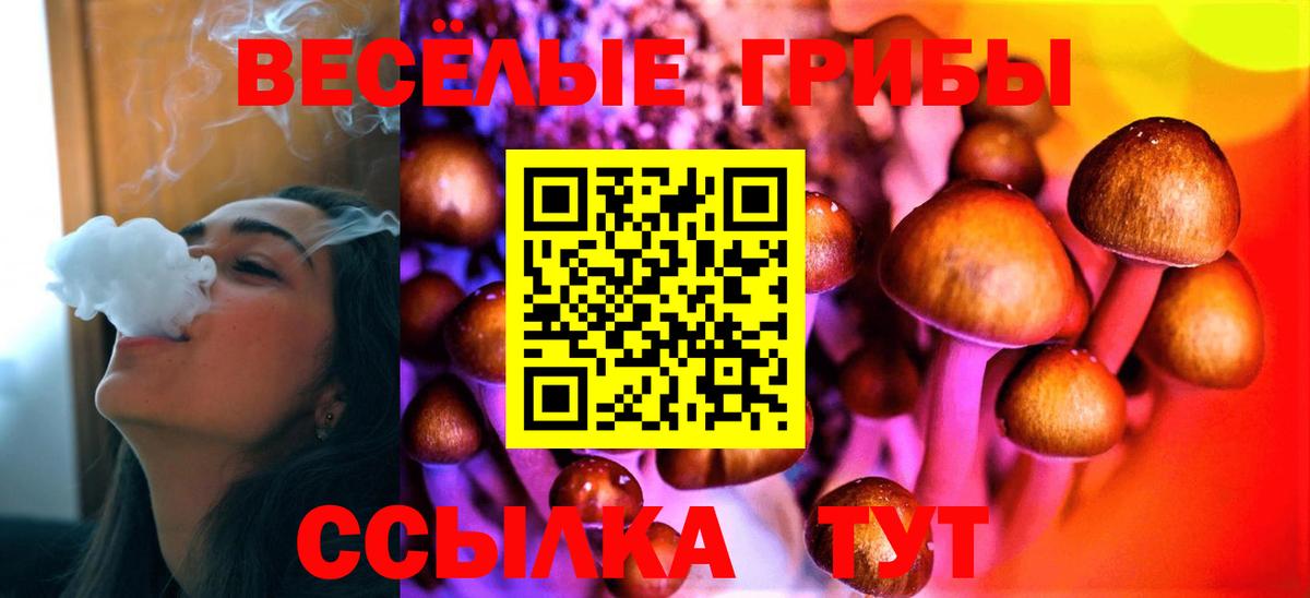 Красный Сулин  магазин    Вход с VPN  Псилоцибиновые грибы ЛСД 